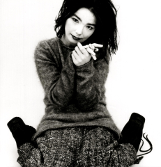Björk (Debut)