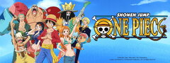 Straw Hat Pirates (one piece season 9 funimation) (Monkey D. Luffy)