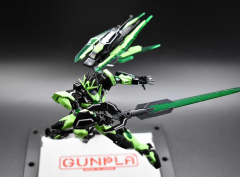 QAN[T] RG. I was inspired to do these colors from the new Kamen ...