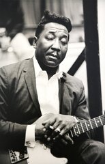 Muddy Waters