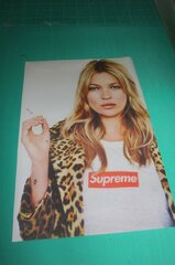 KATE MOSS SUPREME Sexy Super Model High Quality CM