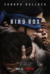 Bird Box Movie Sandra Bullock Film