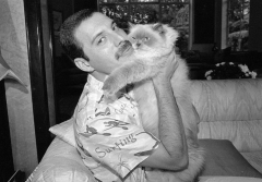 Freddie Mercury Queen Cat Lover Singer