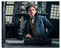 HARRY POTTER Fantastic Beasts and Where to Find Them EDDIE REDMAYNE