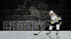 Sidney Crosby - Pittsburgh Penguins NHL Sport Player