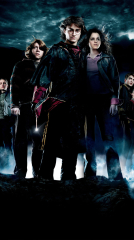 Harry Potter and the Goblet of Fire 2005 movie