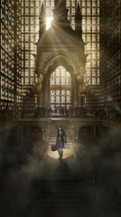 Fantastic Beasts and Where to Find Them 2016 movie
