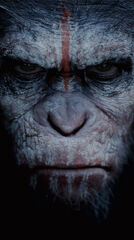 Dawn of the Planet of the Apes 2014 movie