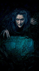 Into the Woods 2014 movie