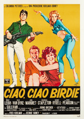 Bye Bye Birdie (1963) Movie