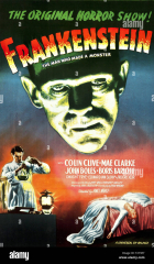 Frankenstein (CU Frankenstein Boris Karloff 61 x 91,5 cm) (Frankenstein Movie )