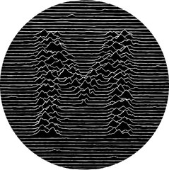 Joy Division - Unknown Pleasures (Joy Division Slipmat)