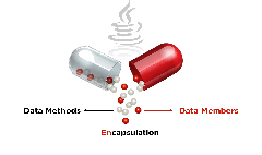 What%20is%20Object%20Oriented%20Programming%20(OOP)?%20(With%20Examples)