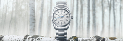 Grand Seiko (Grand Seiko Spring Drive White Birch)