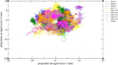 Discovery of potential FGFR3 inhibitors via QSAR, pharmacophore ...