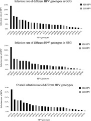 Prevalence, characteristics, and distribution of HPV genotypes in ...