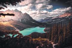 Peyto Lake, Nature, Lake, Mountain, Natural Landscape ...