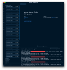 Extension%20'vscode.git'%20CANNOT%20use%20API%20proposal:%20scmValidation%20...