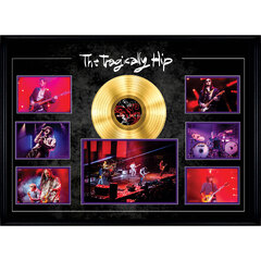 The Tragically Hip (Frameworth The Tragically Hip Gord Downie Salute)