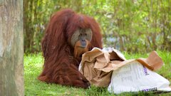 Zoo Miami Tours - Book Now | Expedia