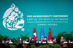 COP15 Biodiversity Talks: Countries Sign On to “ ...