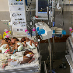 31 Premature Babies at Al-Shifa Hospital in Gaza Are Evacuated ...