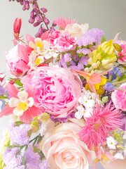 Our Flowers — Soah Flowers is a cut flower garden and floral ...