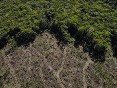 Brazil's Lula's promises to end deforestation face challenges from ...