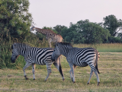 Kruger National Park