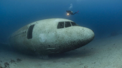 Eerie abandoned passenger plane sits on floor of Red Sea | CNN