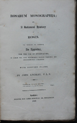 Rosarum Monographia: Or, A Botanical History of Roses by John Lindley (Rosarum Monographia; Or, a Botanical History of Roses: To Which Is Added an Appendix for the Use of Cultivators)