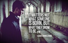 Professor Albus Dumbledore