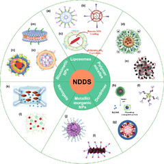 Nano drug delivery system for cancer