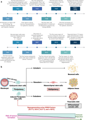 Stem cell-based therapy for human diseases | Signal Transduction ...