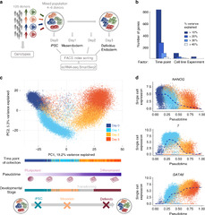 Single-cell RNA-sequencing of differentiating iPS cells reveals ...