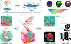 In vivo three-dimensional multispectral photoacoustic imaging of ...