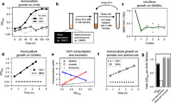 Stress-induced metabolic exchanges between complementary bacterial ...