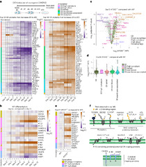 Combinatorial selective ER-phagy remodels the ER during ...