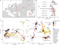 Population genomics of post-glacial western Eurasia | Nature