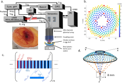 Full-visibility 3D imaging of oxygenation and blood flow by ...