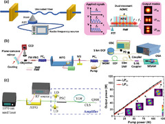 Functional Fibers and Functional Fiber-Based Components for High ...