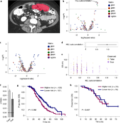 Multimodal data integration using machine learning improves risk ...