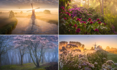 Mesmerising%20photos%20by%20Albert%20Dros%20show%20how%20magical%20the%20Netherlands%20...