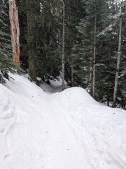 Snow Lake — Washington Trails Association