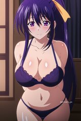 Rule 34 - ai generated akeno himejima bikini bikini bottom bikini ...