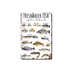 Fish Aluminum Metal Sign,Freshwater Game Fish, Bedroom Kitchen Bar Cafe (Freshwater Fish)