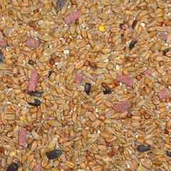 25 kg Dawn Chorus Original Flavour Wild Bird Seed Mix : Amazon.co ...