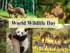 World Wildlife Day 2024, Date, Theme, History and Significance ...