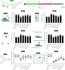 Inducible degradation of lncRNA Sros1 promotes IFN-γ-mediated activation of innate immune responses