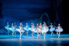 Swan Lake (Classical ballet)